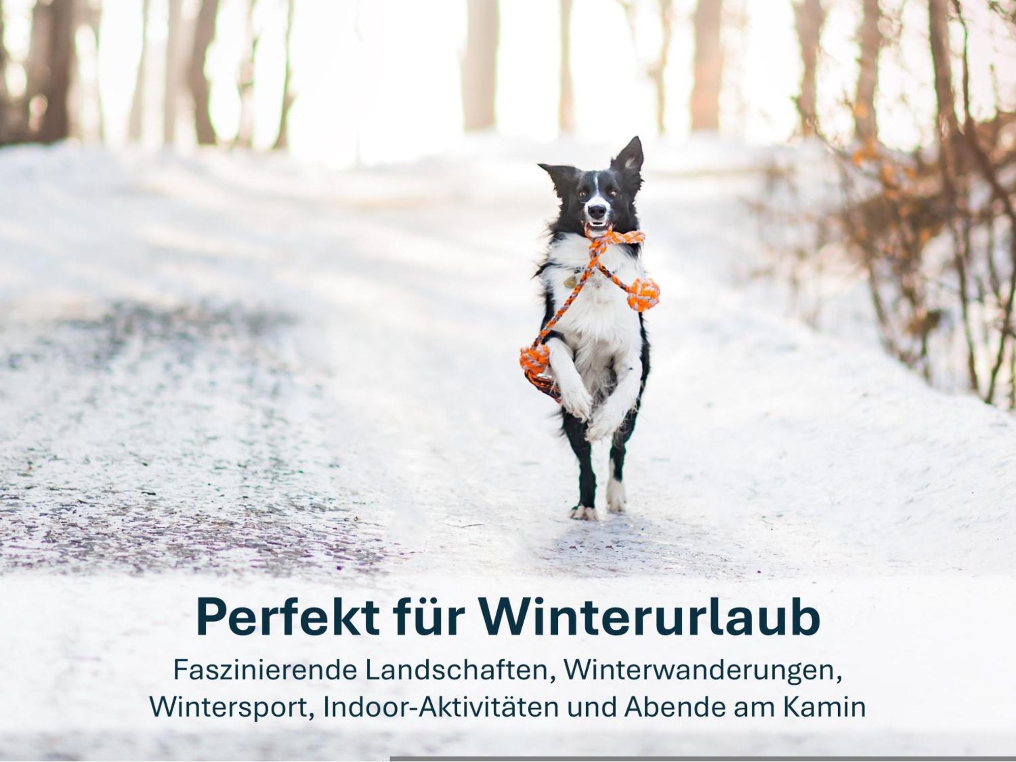 Ferienwohnung Ursel Heringsdorf  Exteriör bild